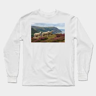 A Close Shave on Allt Wen Long Sleeve T-Shirt